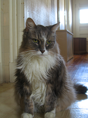 Grady